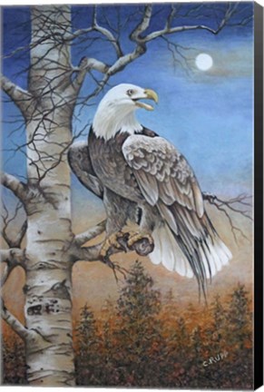Framed Moonlight Eagle Print
