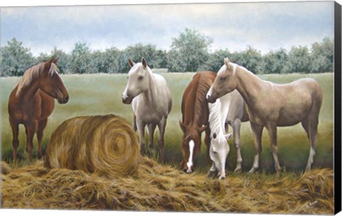 Framed Morning Hay Print