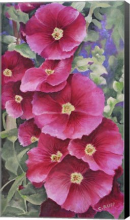 Framed Oh So Pink Print