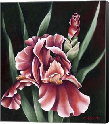 Framed Oh So Red Print