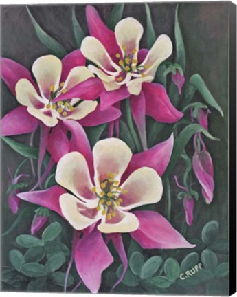 Framed Pretty in Pink Print