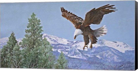 Framed Soaring over Snowy Peaks Print