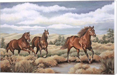 Framed Spirit of the Southwest Print