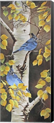 Framed Stellar Jay with Leaves of Gold Print
