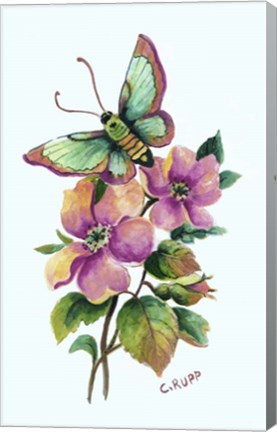 Framed Teal Butterfly Print