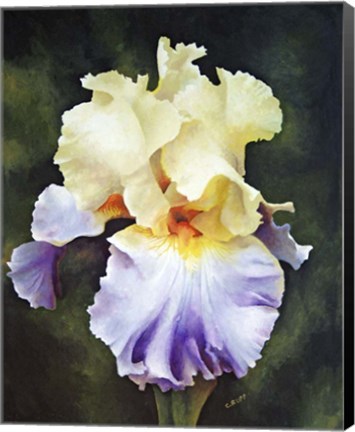 Framed What a Beauty Print