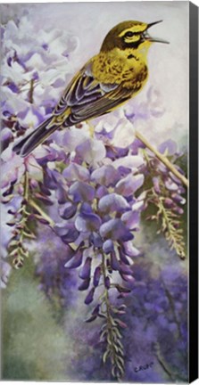 Framed Yellow Bird in Wisteria Print