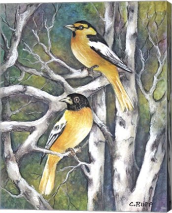 Framed Yellow Birds Print