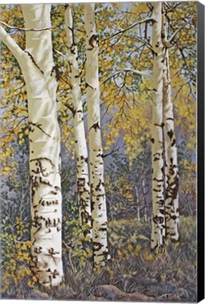 Framed Afternoon Shadows Print