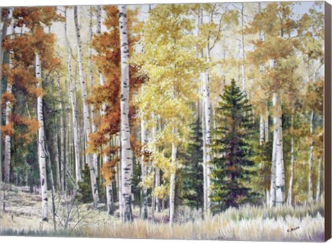 Framed Angel Fire Aspens Print