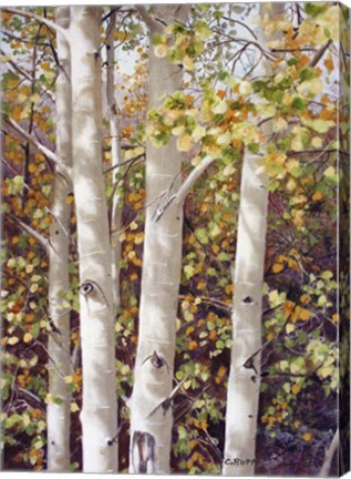 Framed Aspen Quartet Print