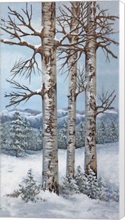 Framed Aspen Trio Winter Print