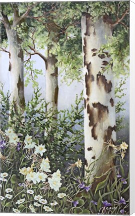 Framed August Color Print