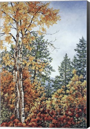 Framed Autumn Splendor Print