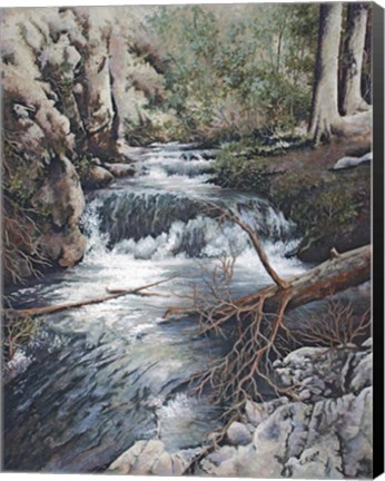 Framed Clear Creek Print