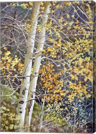 Framed Color of Autumn Print