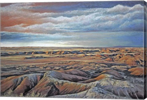 Framed Desert Rain Print