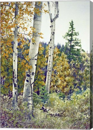 Framed Edge of the Forest Print