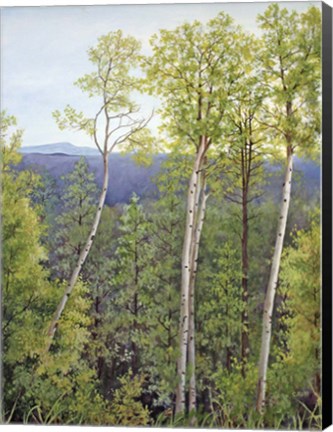 Framed Forest Road Aspen Print