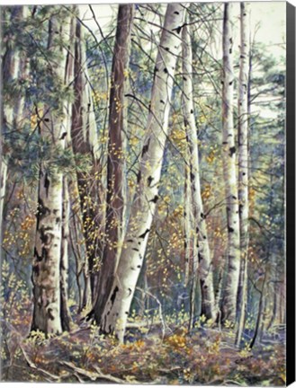 Framed Grace &amp; Maturity Print