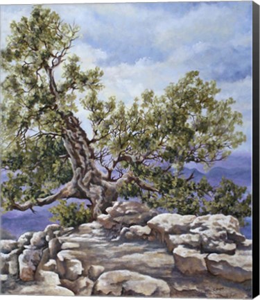 Framed Grand Canyon Rim Print