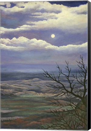 Framed Moonscape Print