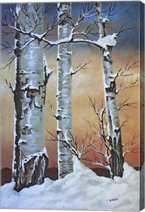 Framed Winter Sunset Print