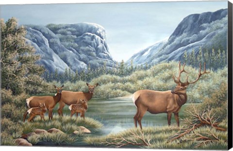 Framed High Meadow Yosemite Print