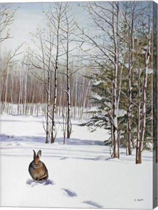 Framed Winter Rabbit Print