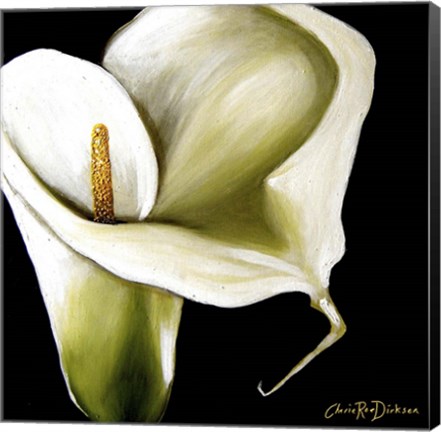 Framed Arum Lily Ii Print