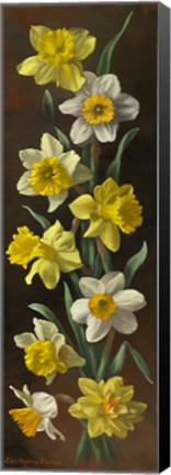 Framed Summer Splendor Print