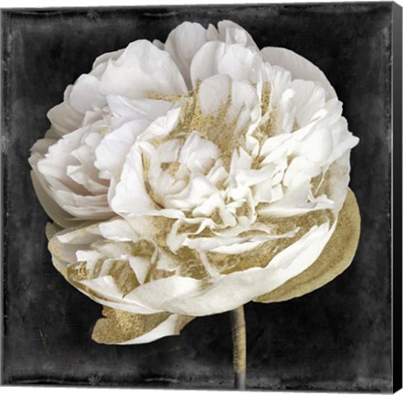 Framed Gilda I Print