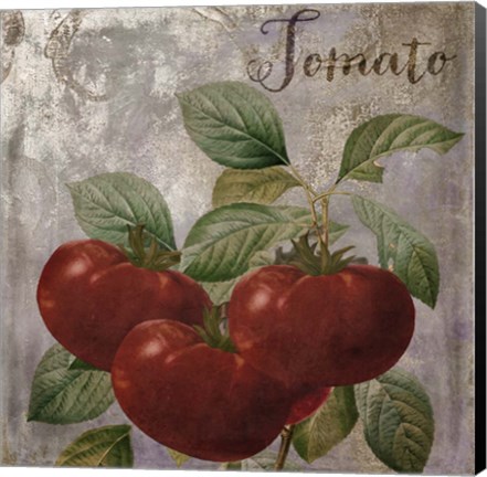 Framed Medley Gold Tomato Print