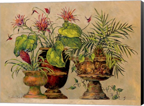 Framed Taste of the Tropics Print