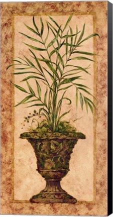 Framed Regal Palm Print