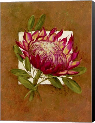 Framed Tropical Squares 3 Print