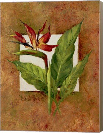 Framed Tropical Squares 4 Print