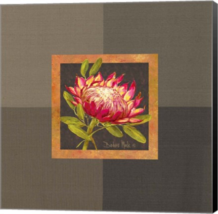 Framed Tropical Treasures I Print