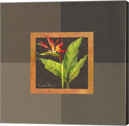 Framed Tropical Treasures II Print