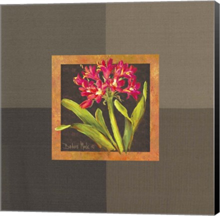 Framed Tropical Treasures IV Print