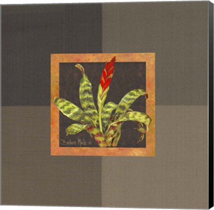 Framed Tropical Treasures III Print