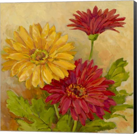 Framed Gerber Daisies II Print