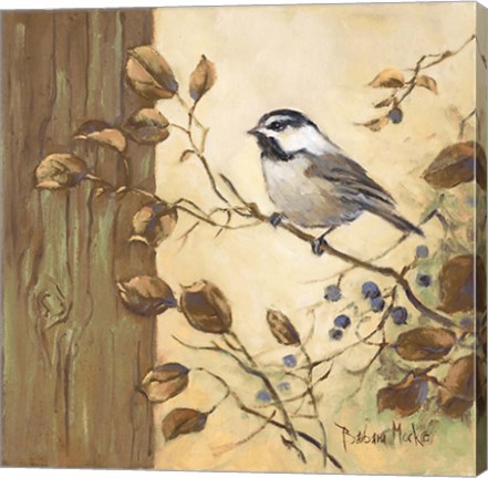 Framed Chickadee Square II Print