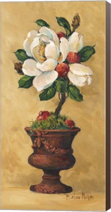 Framed Magnolia Topiary II Print