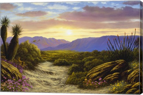 Framed Desert Splendour Print
