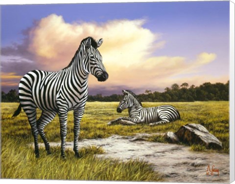 Framed Zebras Print