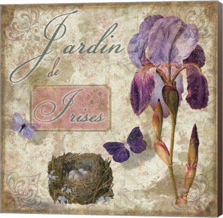 Framed Jardin de Fleurs III Print