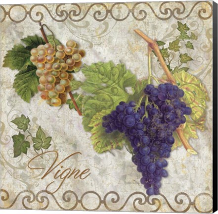 Framed Pastoral Fruits II Print