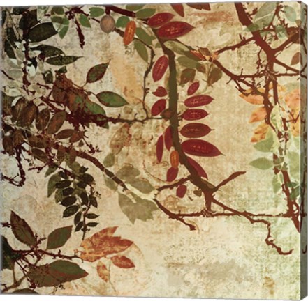 Framed Transition I Print