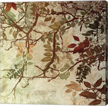 Framed Transition II Print